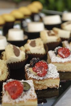 Variety of italian pastry on tray display