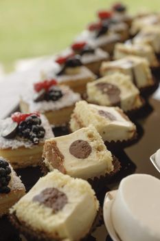 Variety of italian pastry on tray display