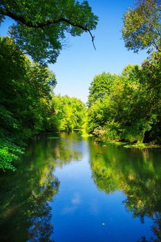 river in forest