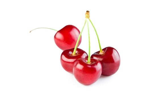 cherry