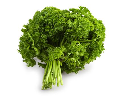 bunch of a parsley isolated