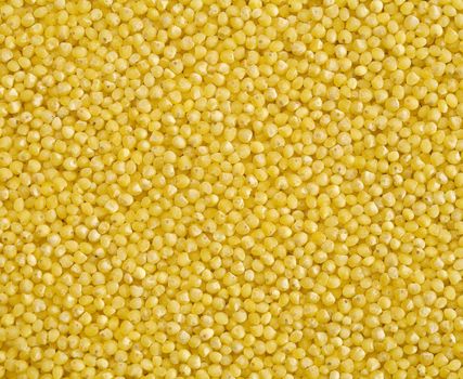 Millet groats