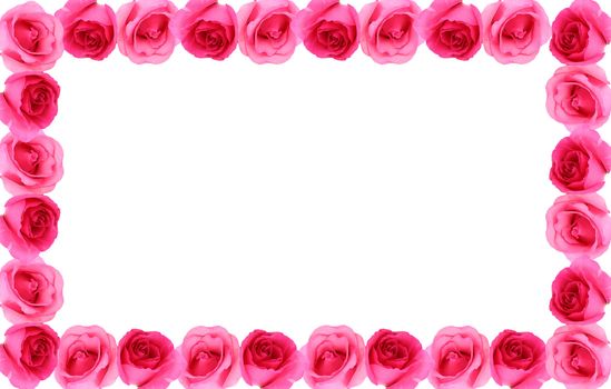 Rose flower frame background