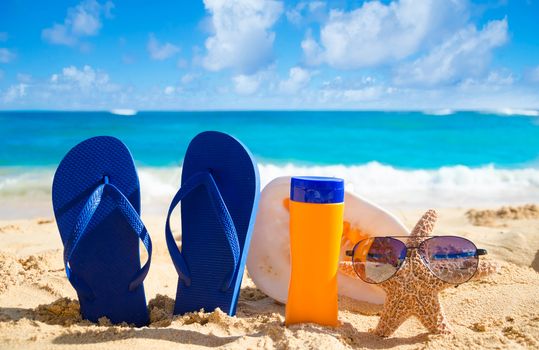 Blue Flip flops, seashell, sunscreen and starfish with sunglasses on sandy beach in Hawaii, Kauai