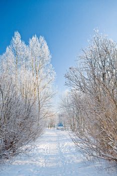 winter alley