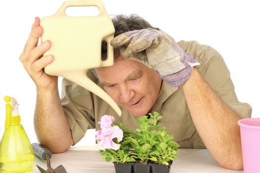 Dedicated gardener watering his beloved seedlings with a watering can.