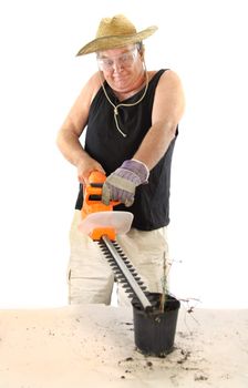 Manic gardener uses a hedge trimmer to trim a tiny dead plant.