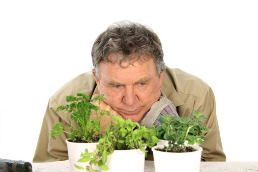 Middle aged nurseryman wondering whether his plants are going to grow.
