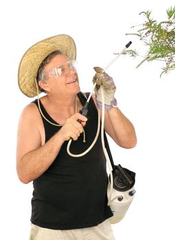 Middle aged gardener in hat spraying plants.