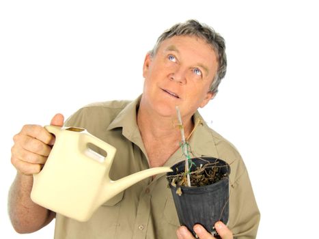 Nurseryman looks to the heavens for water for his dried out plants.