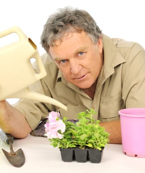 Nurseryman watering seedlings with a watering can.