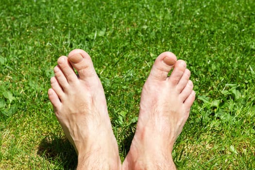 male barefoot on green grass in sunny day