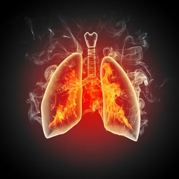 Schematic illustration of human lungs with the different elements on a colored background. Collage.