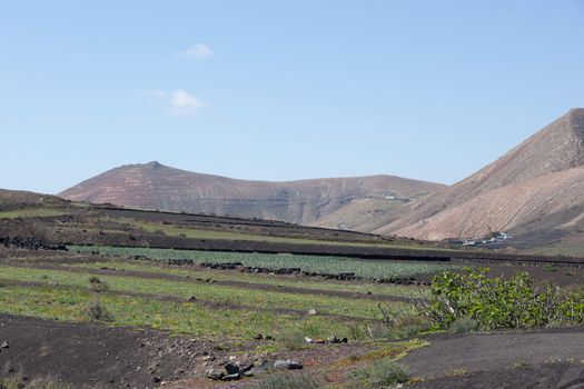 The picture belongs to a series of pictures from the holiday island of Lanzarote