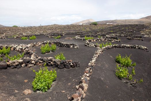 The picture belongs to a series of pictures from the holiday island of Lanzarote