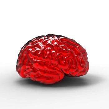 Human brain 3D model, isolated