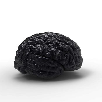 Human brain 3D model, isolated