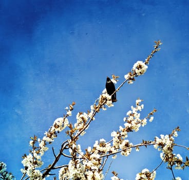 textured old paper background with small bird on a dry brach
