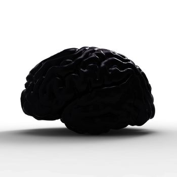 Human brain 3D model, isolated