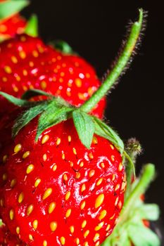 summer ripe juicy red strawberry close-up macro