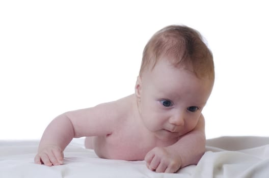 portrait of a baby boy on a blanket and white background