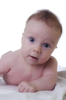 portrait of a baby boy on a blanket and white background