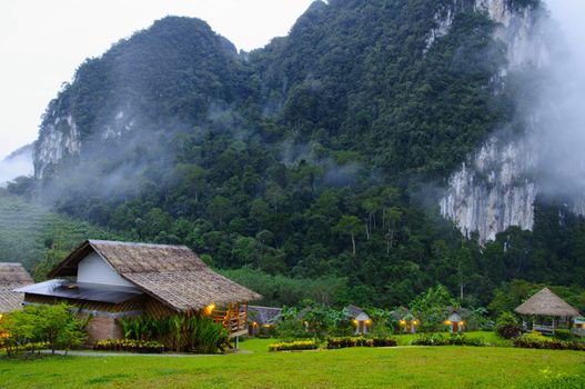 The Nature at KhaoSok , Thailand