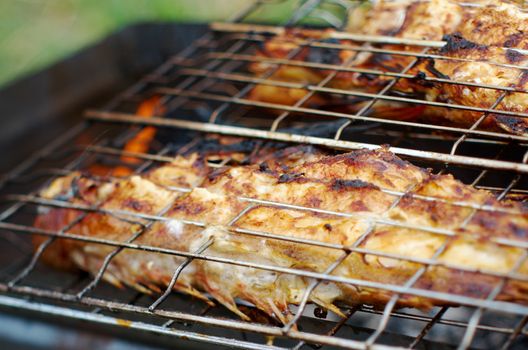 barbecue .Rock Fish on the grill with flames . grilling sea fishes on campfire grate