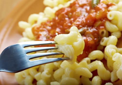 Italian pasta cavatappi and vegetable  tomato sauce