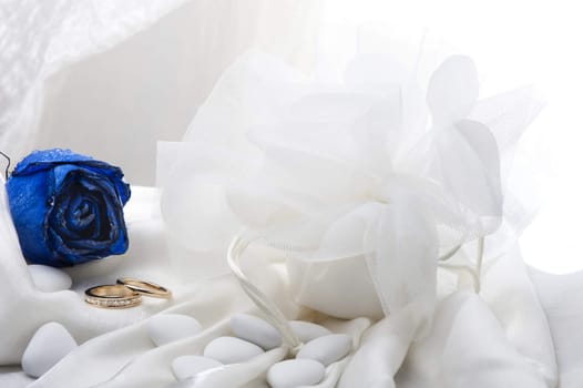 roses and wedding rings on white background