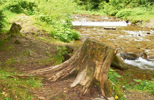 Turbulent mountain stream flowing through the forest