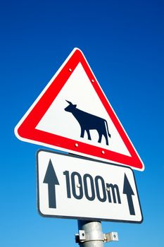 Cows warning traffic sign