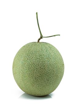 cantaloupe melon