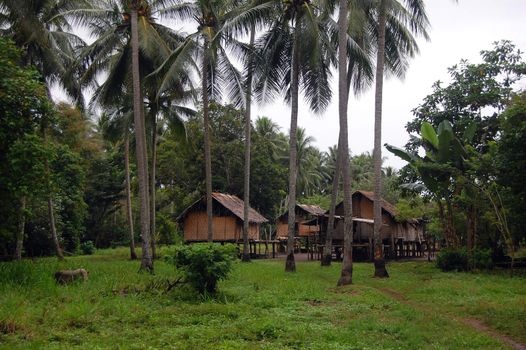 Village in jungles outback of Papua New Guinea