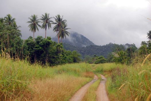 Gravel road in tropical outback, Papua New Guinea