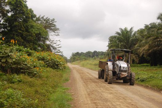 Tracktor at gravel road, Milne Bay Province, Papua New Guinea