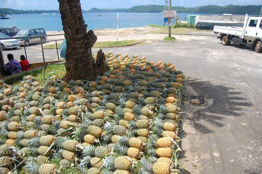 Pineapples at market, Vavau Island, Kingdom ofTonga