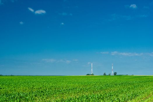 field corn and two Tower
