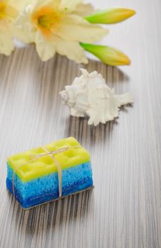 soap bath sponge cockle shell and flower