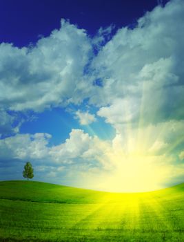sunrise on a hill field