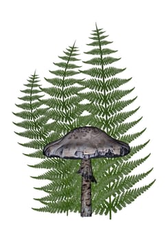 One mushroom in front of of ferns in white background