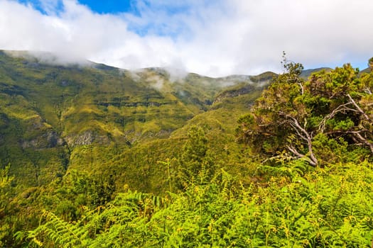 The magnificent inland of the island of Madeira