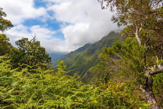 The magnificent inland of the island of Madeira