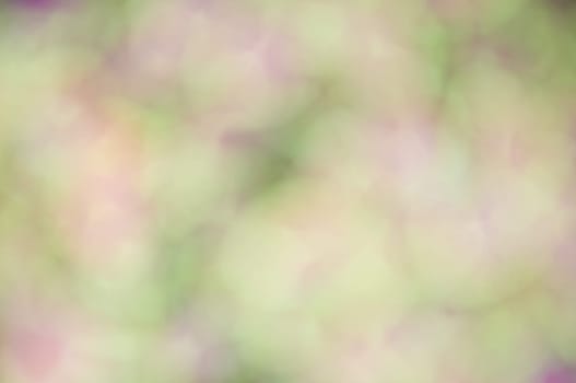 defocus of green and violet light