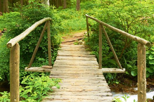 Bridge over the river in the forest