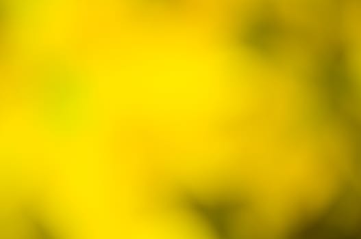 defocus of yellow  light