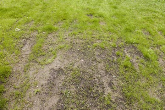 A muddy patch of lawn with poorly grown grass.