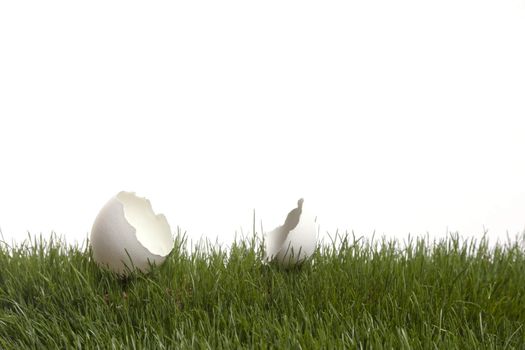 A single egg shell is cracked open on a green grass patch against a white background.
