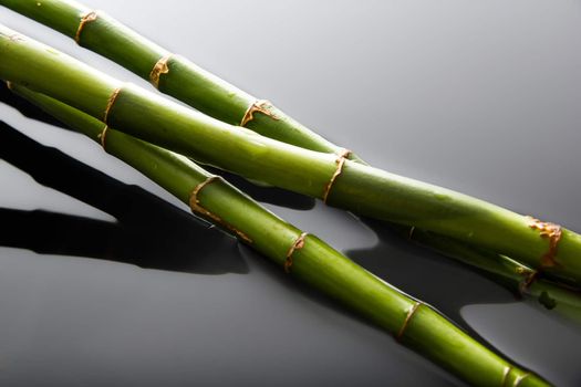 Beautiful fresh green bamboo lying in water with glossy drops