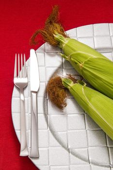 Silver Fork and knife on red table cloth and two cob on dish